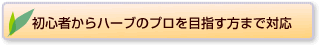 初心者からハーブのプロを目指す方まで対応